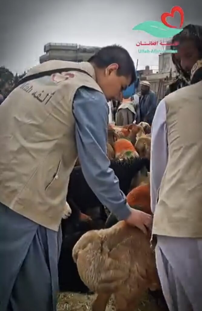 الفه افغانستان