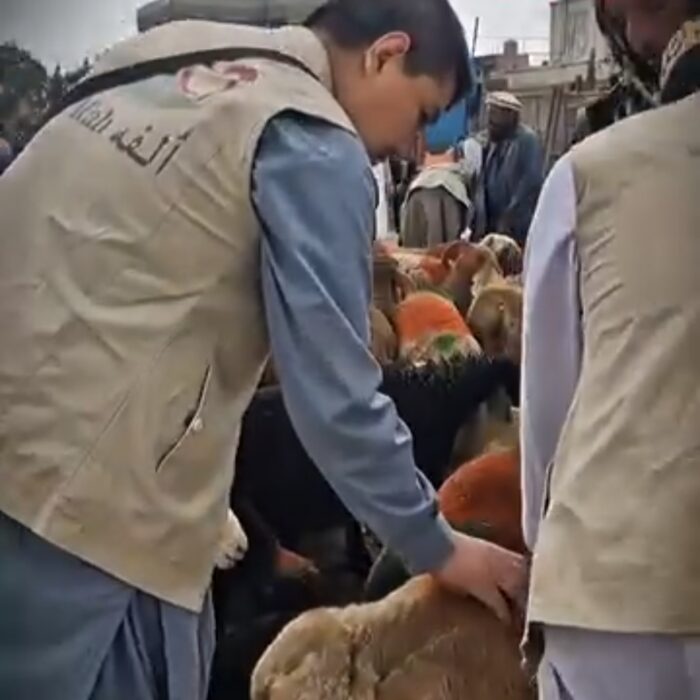 الفه افغانستان
